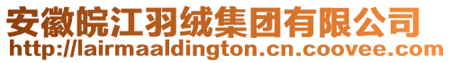 安徽皖江羽絨集團有限公司