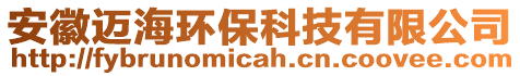 安徽邁海環(huán)保科技有限公司