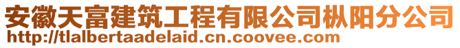 安徽天富建筑工程有限公司樅陽分公司