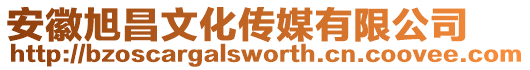 安徽旭昌文化傳媒有限公司