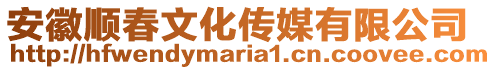 安徽順春文化傳媒有限公司