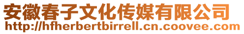 安徽春子文化傳媒有限公司