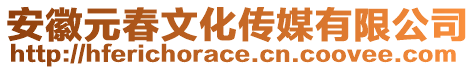 安徽元春文化傳媒有限公司