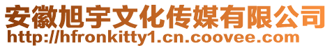 安徽旭宇文化傳媒有限公司