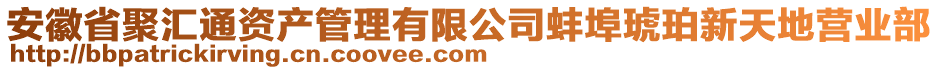 安徽省聚匯通資產(chǎn)管理有限公司蚌埠琥珀新天地營業(yè)部