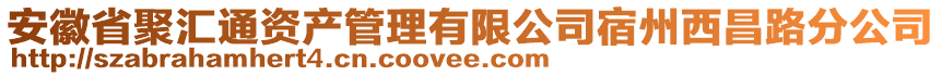 安徽省聚匯通資產管理有限公司宿州西昌路分公司