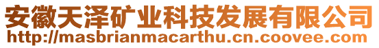 安徽天澤礦業(yè)科技發(fā)展有限公司