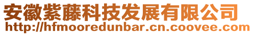 安徽紫藤科技發(fā)展有限公司