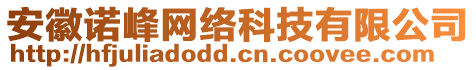 安徽諾峰網(wǎng)絡科技有限公司