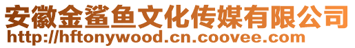 安徽金鯊魚文化傳媒有限公司