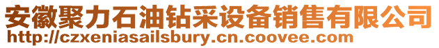 安徽聚力石油鉆采設(shè)備銷(xiāo)售有限公司