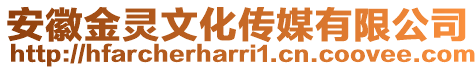 安徽金靈文化傳媒有限公司