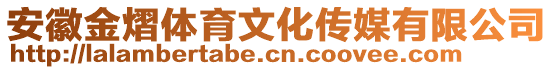 安徽金熠體育文化傳媒有限公司