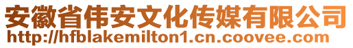 安徽省偉安文化傳媒有限公司