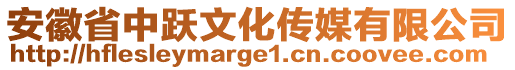 安徽省中躍文化傳媒有限公司