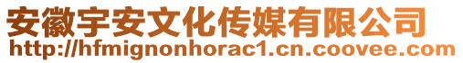 安徽宇安文化傳媒有限公司