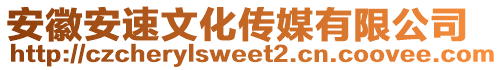 安徽安速文化傳媒有限公司