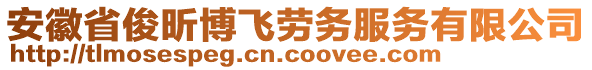 安徽省俊昕博飛勞務(wù)服務(wù)有限公司
