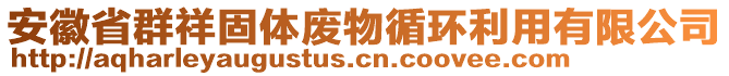 安徽省群祥固體廢物循環(huán)利用有限公司