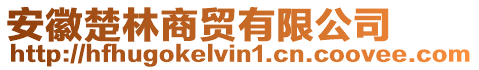 安徽楚林商貿有限公司
