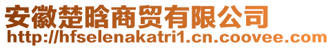 安徽楚晗商貿(mào)有限公司