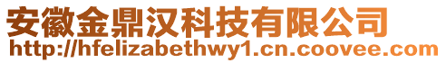 安徽金鼎漢科技有限公司