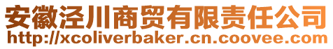 安徽涇川商貿(mào)有限責(zé)任公司