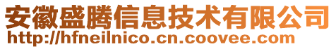 安徽盛騰信息技術(shù)有限公司