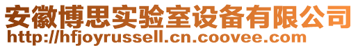 安徽博思實驗室設備有限公司