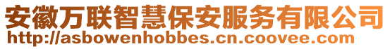 安徽萬(wàn)聯(lián)智慧保安服務(wù)有限公司