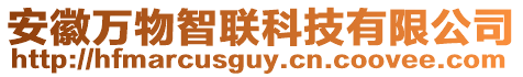 安徽萬(wàn)物智聯(lián)科技有限公司