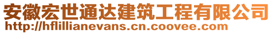 安徽宏世通達(dá)建筑工程有限公司