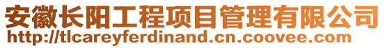 安徽長陽工程項目管理有限公司