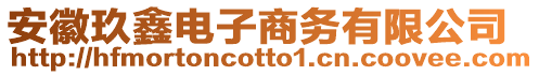 安徽玖鑫電子商務有限公司