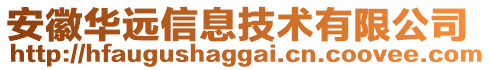 安徽華遠信息技術(shù)有限公司