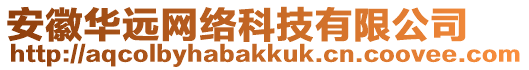 安徽華遠網(wǎng)絡(luò)科技有限公司