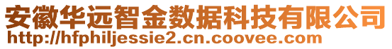 安徽華遠(yuǎn)智金數(shù)據(jù)科技有限公司