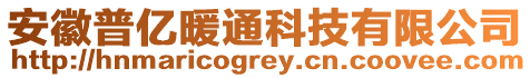 安徽普億暖通科技有限公司