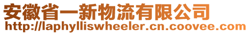 安徽省一新物流有限公司