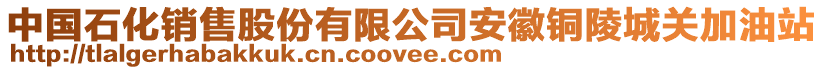 中國(guó)石化銷售股份有限公司安徽銅陵城關(guān)加油站