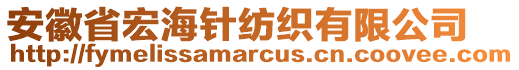 安徽省宏海針紡織有限公司