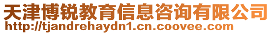 天津博銳教育信息咨詢有限公司