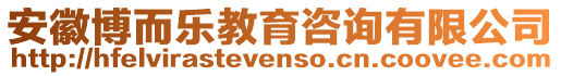 安徽博而樂教育咨詢有限公司