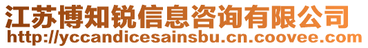 江蘇博知銳信息咨詢有限公司