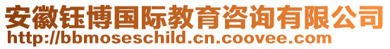 安徽鈺博國(guó)際教育咨詢有限公司