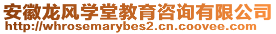 安徽龍風學堂教育咨詢有限公司