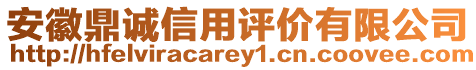 安徽鼎誠信用評(píng)價(jià)有限公司