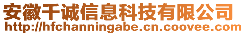 安徽千誠信息科技有限公司