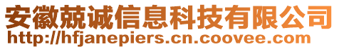 安徽兢誠信息科技有限公司