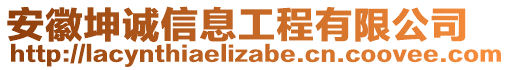 安徽坤誠信息工程有限公司